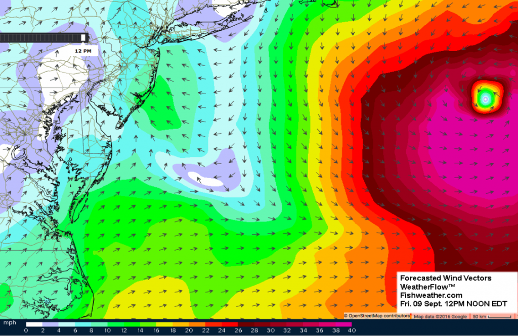 Hermine10