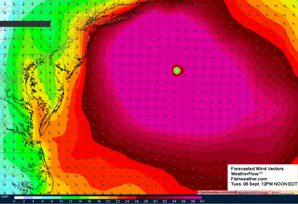 Hermine7