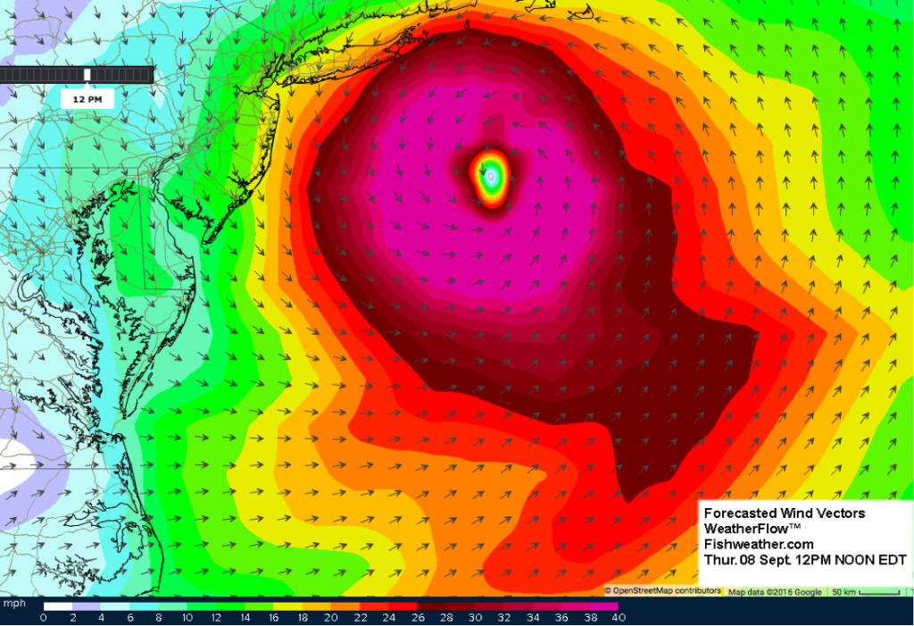 Hermine9