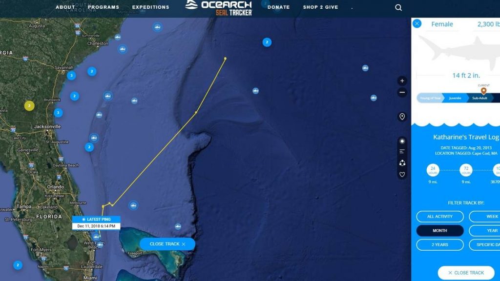 Katharine Ocearch 1211