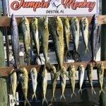 ROFFS™ Client Mike Hinze (Jumpin’ Monkey) offshore Destin, FL: “Quick little day trip!”