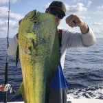 ROFFS™ client Edward Stolarski on the “Fawkes” fishing offshore of Venice, FL yesterday...
"Exactly where you suggested! East of Vernon basin. Went 135 out of Venice 650 feet. Nice 22 pound Mahi and tuna. Crushed deep drop as well. Thank you!”
#ROFFS #ROFFSfishing #2020FishVision #tuna #mahi #crushed #deepdropping