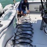 ROFFS™ client Jim Hoddinott on the "Pelagic Prowler" fished the Tampa Offshore area over the weekend...
"More great results from our ROFFS™ report!"
#ROFFS #ROFFSFishing #2020FishVision #tuna #tunaaction #tampafishing