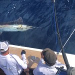 ROFFS™ Clients feedback from early March: Team South Jersey Yacht Sales Polarizer, Capt Bill Davis, Morgan Tolbert angler and wireman Greg Robinson.
“Your charts convinced us to cross over to N Grand Bahama last weekend. We wound up 2-2 on blues, saw 2 more, 1-3 on sailfish, 1-2 on Yellowfin and 2-30# Dolphin. Great day of fishing thanks to ROFFS”
#ROFFS #2020fishvision